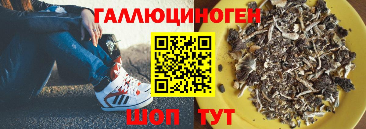 Псилоцибиновые грибы MAGIC MUSHROOMS Каспийск